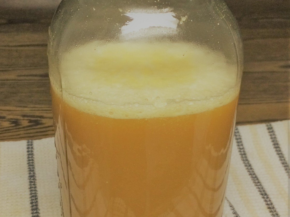 Making an Activated Yeast Starter for Mead